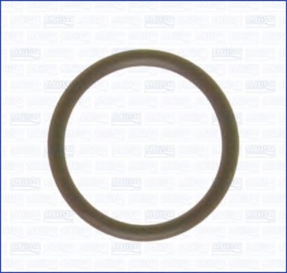 FIAT 806919050 Gasket, intake manifold